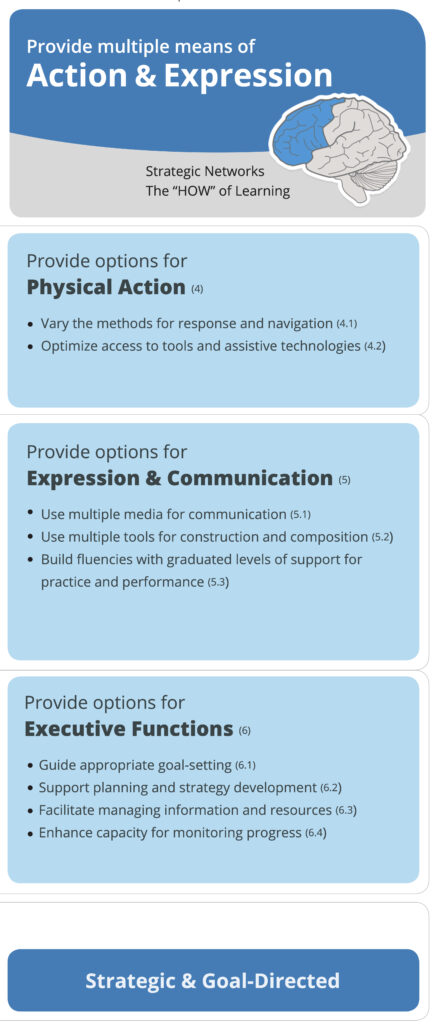 4. How can technology be used to provide multiple means of action and ...